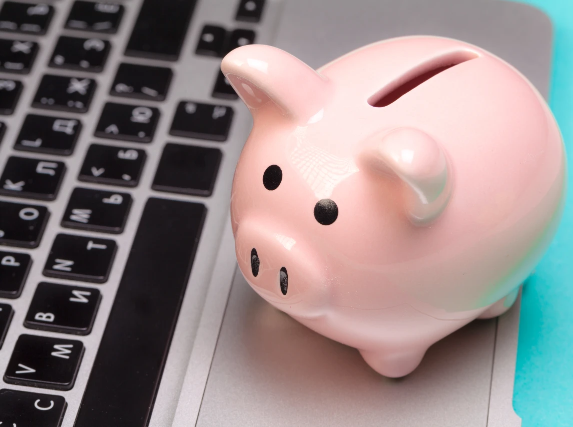 Professionele webshop kosten