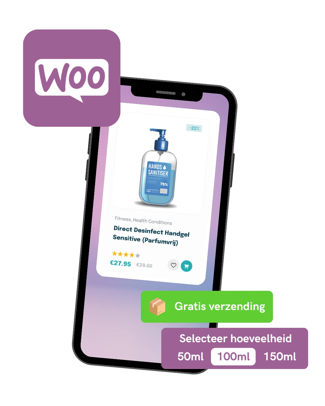 Webshop laten maken Drachten